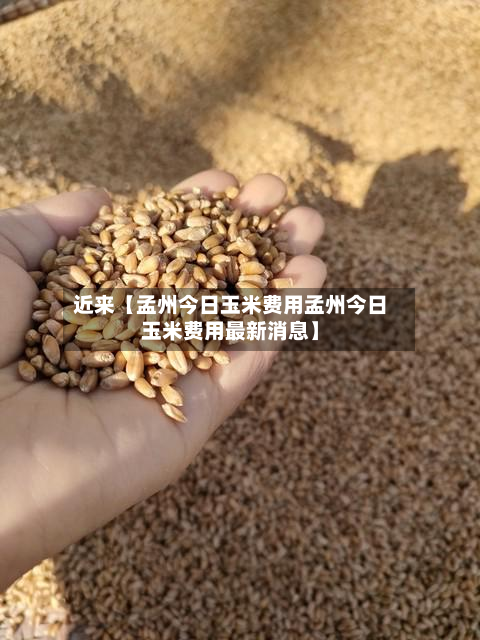 近来【孟州今日玉米费用孟州今日玉米费用最新消息】