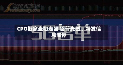 CPO概念盘初走强 铭普光磁	、特发信息涨停-第1张图片