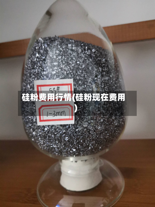 硅粉费用行情(硅粉现在费用)