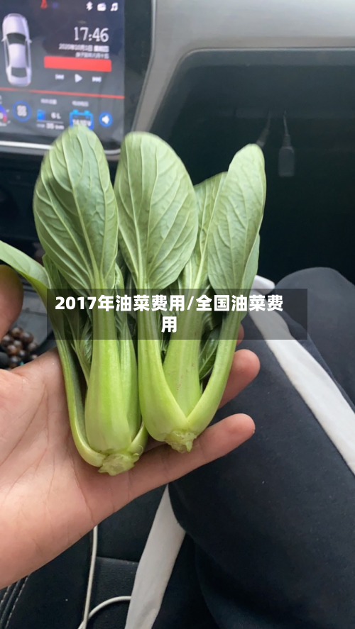 2017年油菜费用/全国油菜费用