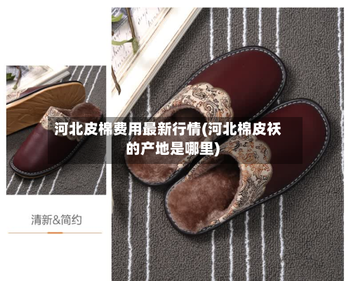 河北皮棉费用最新行情(河北棉皮袄的产地是哪里)