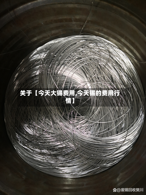关于【今天大锡费用,今天锡的费用行情】