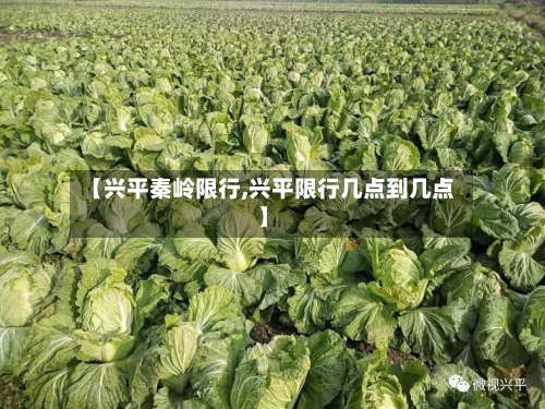 【兴平秦岭限行,兴平限行几点到几点】