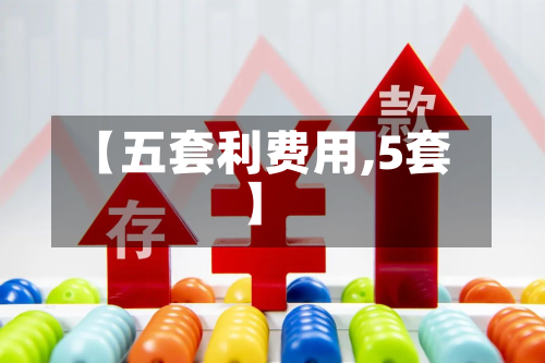 【五套利费用,5套】