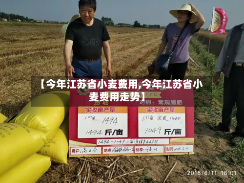 【今年江苏省小麦费用,今年江苏省小麦费用走势】