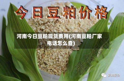 河南今日豆粕现货费用(河南豆粕厂家电话怎么查)