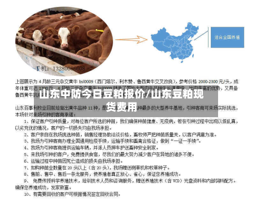 山东中防今日豆粕报价/山东豆粕现货费用