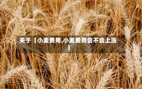 关于【小麦费用,小麦费用会不会上涨】