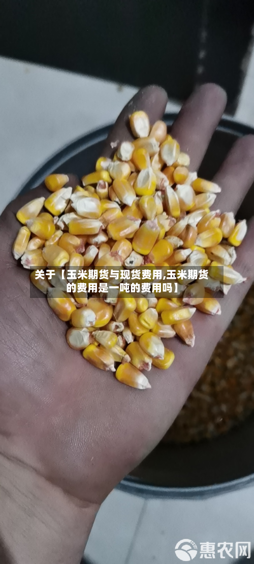 关于【玉米期货与现货费用,玉米期货的费用是一吨的费用吗】