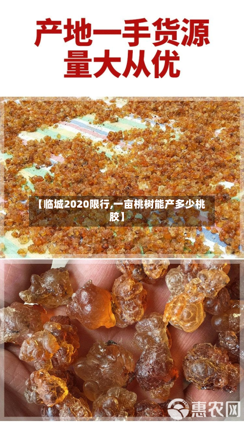 【临城2020限行,一亩桃树能产多少桃胶】