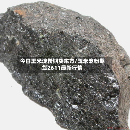 今日玉米淀粉期货东方/玉米淀粉期货2611最新行情