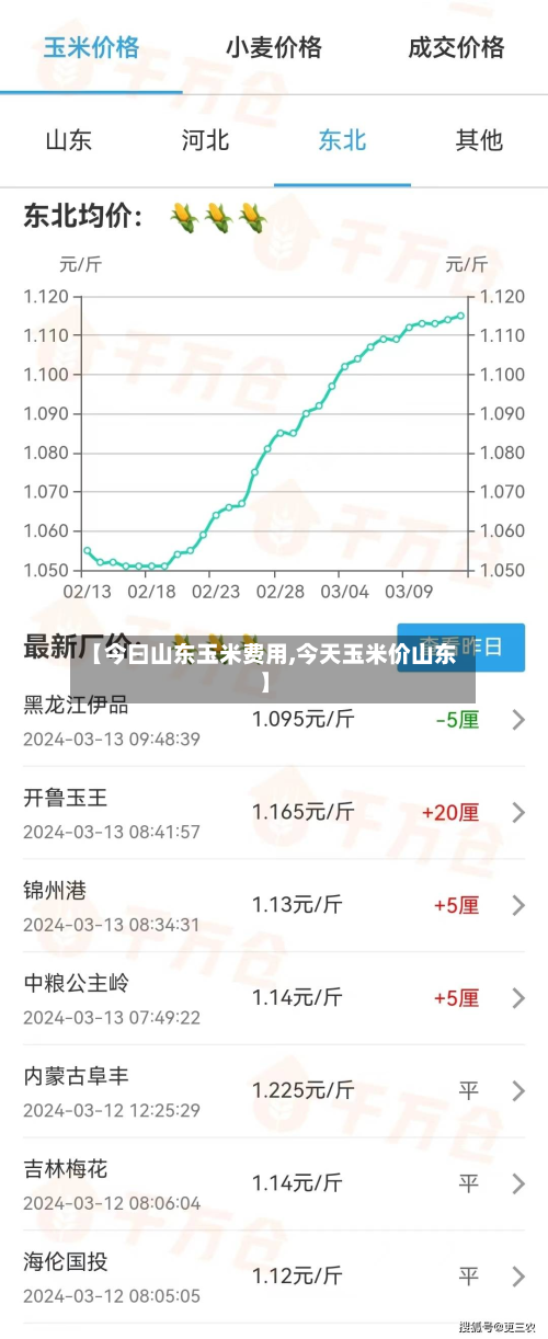 【今曰山东玉米费用,今天玉米价山东】
