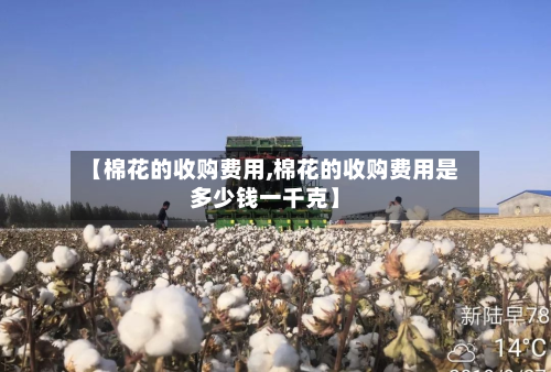 【棉花的收购费用,棉花的收购费用是多少钱一千克】