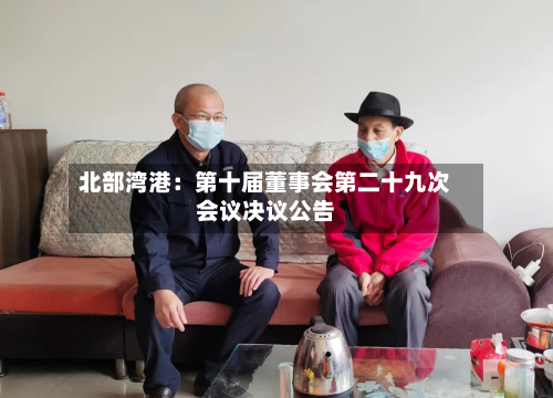 北部湾港：第十届董事会第二十九次会议决议公告