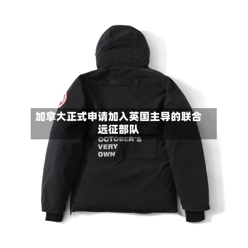 加拿大正式申请加入英国主导的联合远征部队
