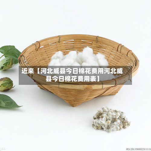 近来【河北威县今日棉花费用河北威县今日棉花费用表】