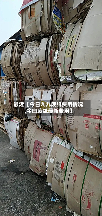 最近【今日九九废纸费用情况,今曰废纸最新费用】