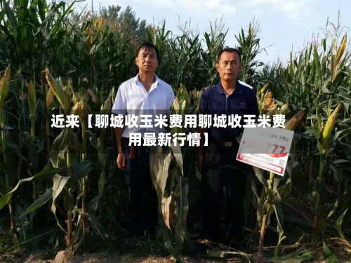 近来【聊城收玉米费用聊城收玉米费用最新行情】