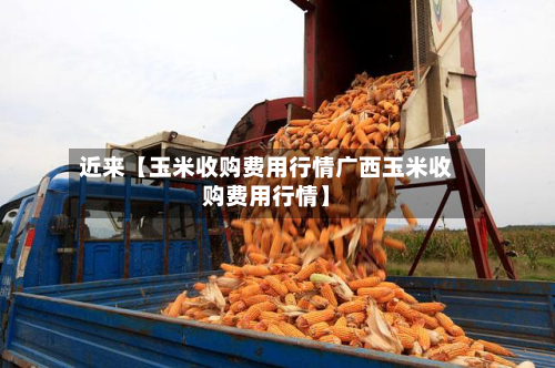 近来【玉米收购费用行情广西玉米收购费用行情】