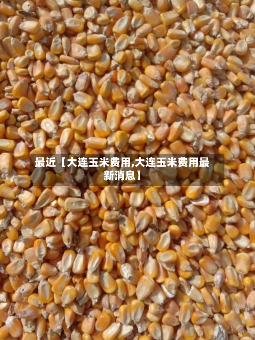 最近【大连玉米费用,大连玉米费用最新消息】-第1张图片