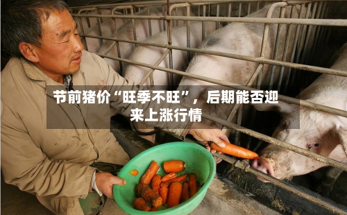 节前猪价“旺季不旺”，后期能否迎来上涨行情