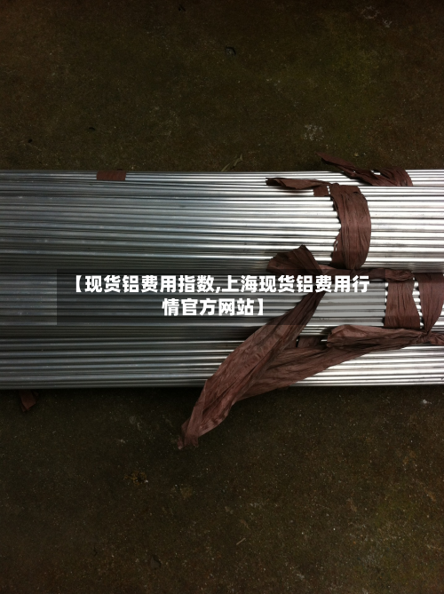 【现货铝费用指数,上海现货铝费用行情官方网站】