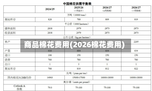商品棉花费用(2026棉花费用)-第1张图片