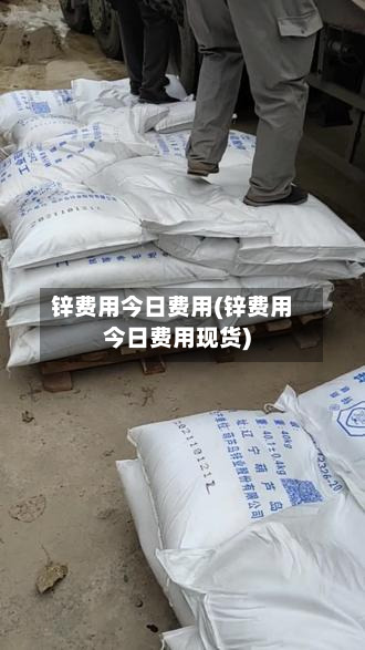 锌费用今日费用(锌费用今日费用现货)-第1张图片