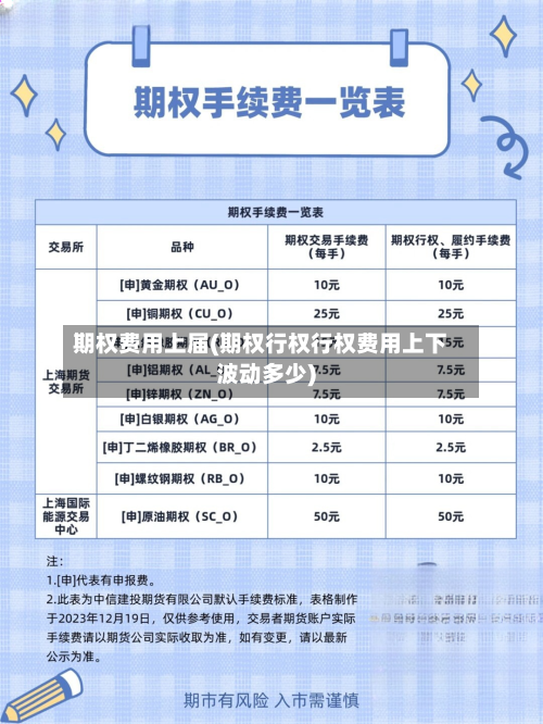 期权费用上届(期权行权行权费用上下波动多少)-第1张图片