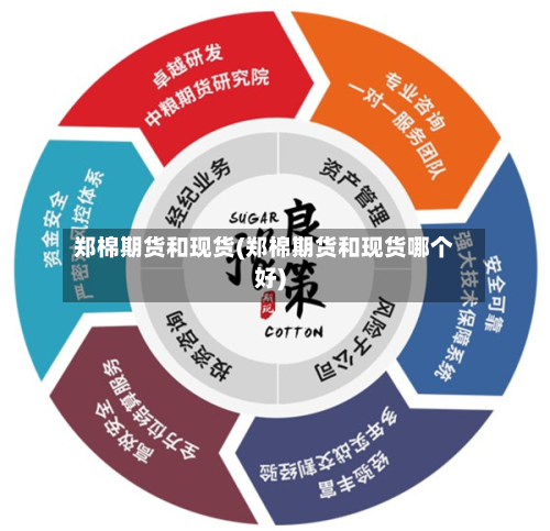 郑棉期货和现货(郑棉期货和现货哪个好)-第1张图片