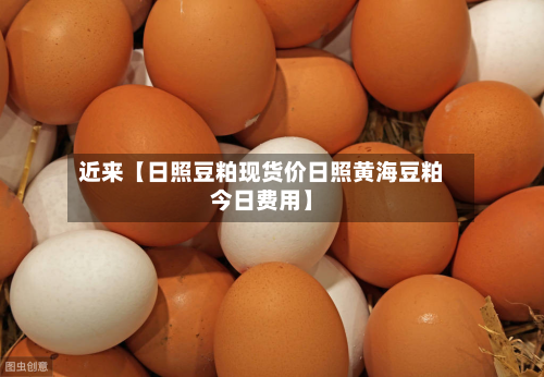 近来【日照豆粕现货价日照黄海豆粕今日费用】-第1张图片