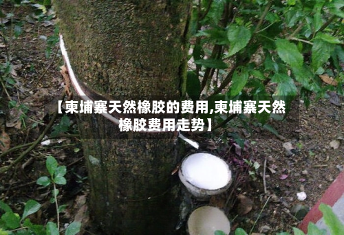 【柬埔寨天然橡胶的费用,柬埔寨天然橡胶费用走势】