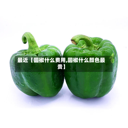 最近【圆椒什么费用,圆椒什么颜色最贵】-第1张图片