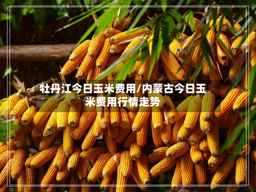 牡丹江今日玉米费用/内蒙古今日玉米费用行情走势