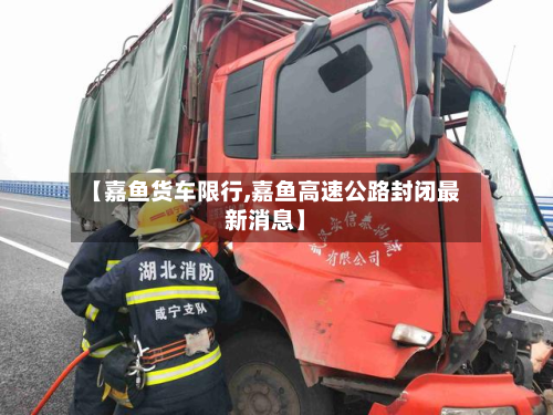 【嘉鱼货车限行,嘉鱼高速公路封闭最新消息】